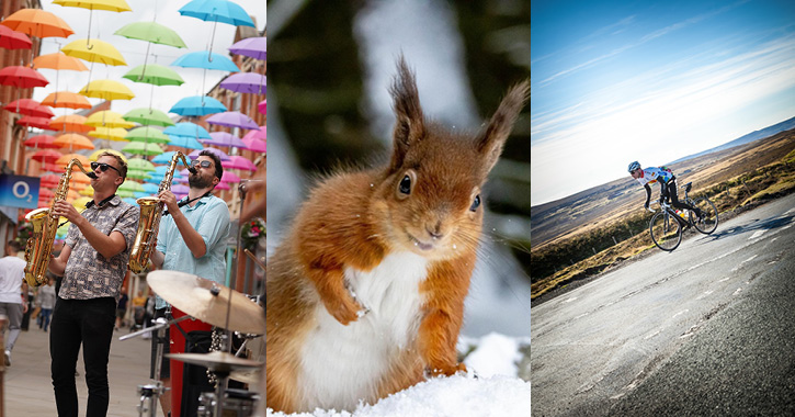 men playing musical instruments at Durham Brass, Red Squirrel and man riding bike in Durham Dales.